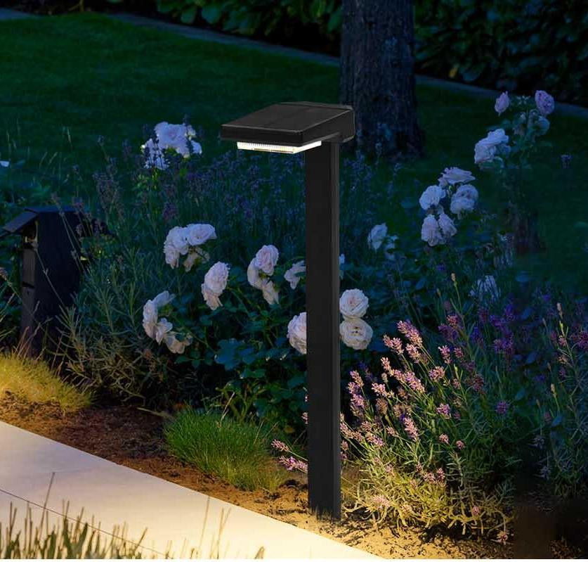 مصابيح LED تعمل بالطاقة الشمسية مع تشغيل / إيقاف تلقائي 6 قطع LED IP65 مقاومة للماء