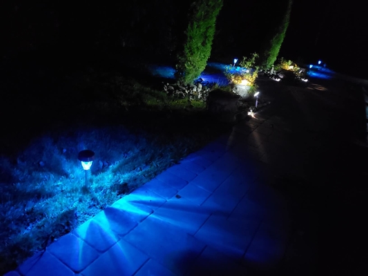 ممر الحديقة 20 ساعة تعمل بالطاقة الشمسية أضواء المناظر الطبيعية تعمل بالطاقة الشمسية أضواء LED خارجية