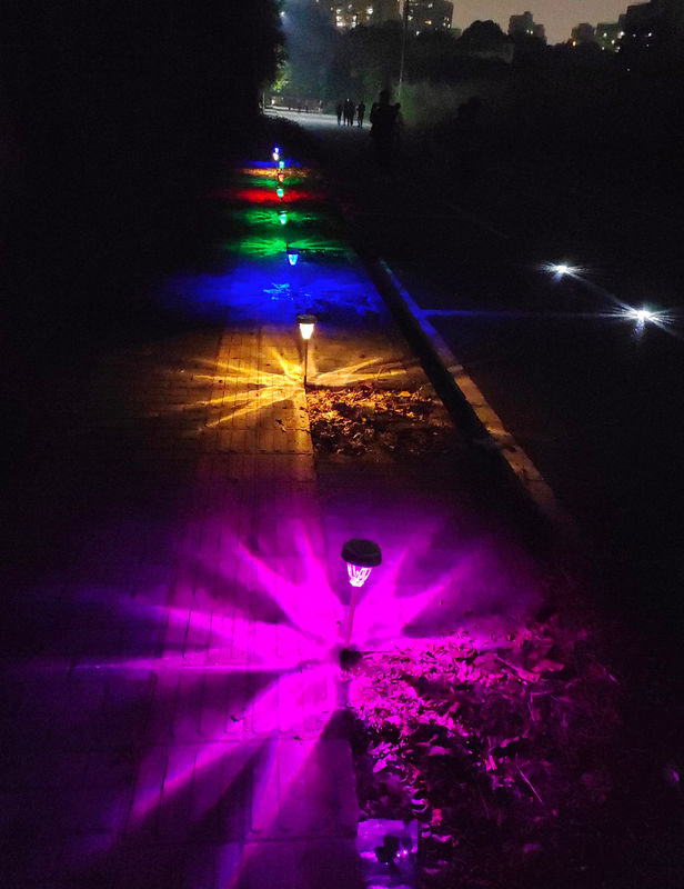 7-Color Solar Garden Pathway Lights IP65 Waterproof Stainless Steel