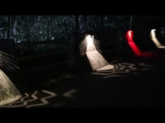 كشافات حائط للحدائق بالطاقة الشمسية KF14A