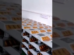 دائم للماء الشمسية عمود الطريق مسمار لسلامة المسار